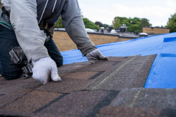 Best Metal Roofing Contractor  in Lofall, WA